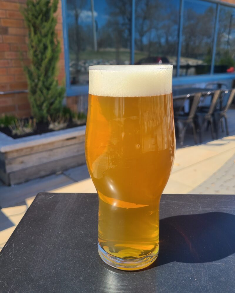 Terptastic! – Terpene-Laden IPA