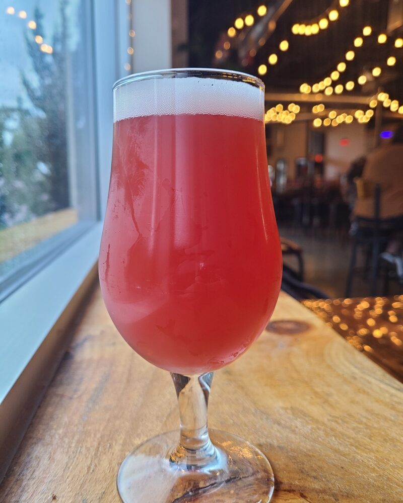 Raspberry Watermelon Sour – Fruited Sour