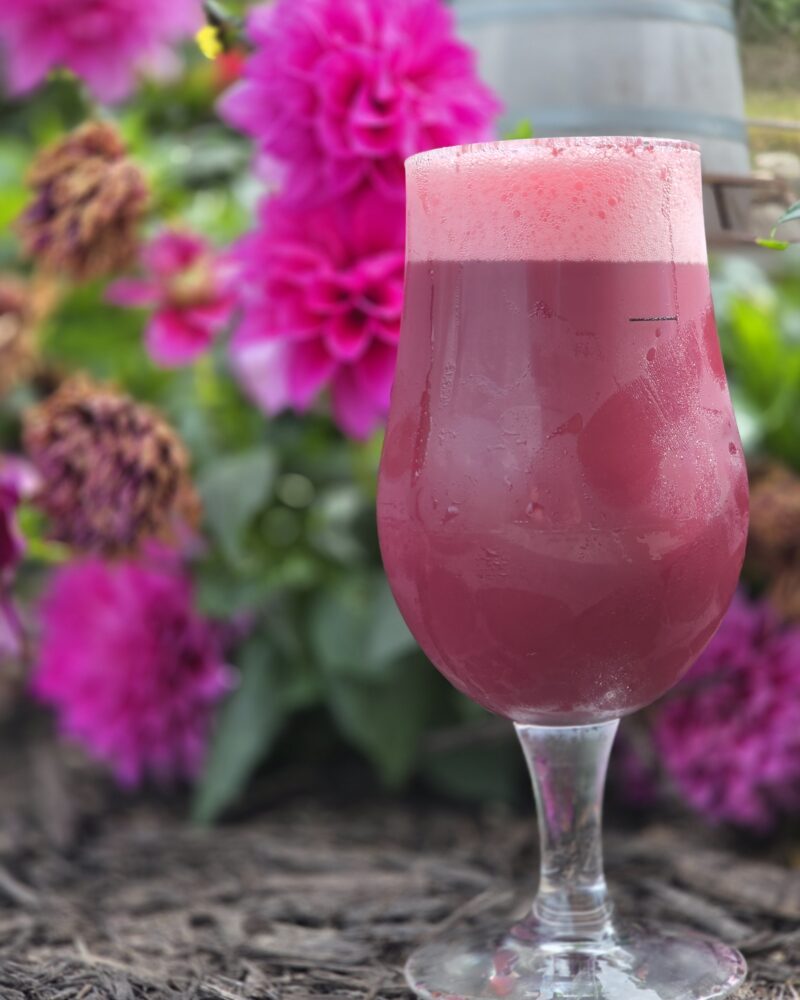 Berries & Cream – Fruited Sour