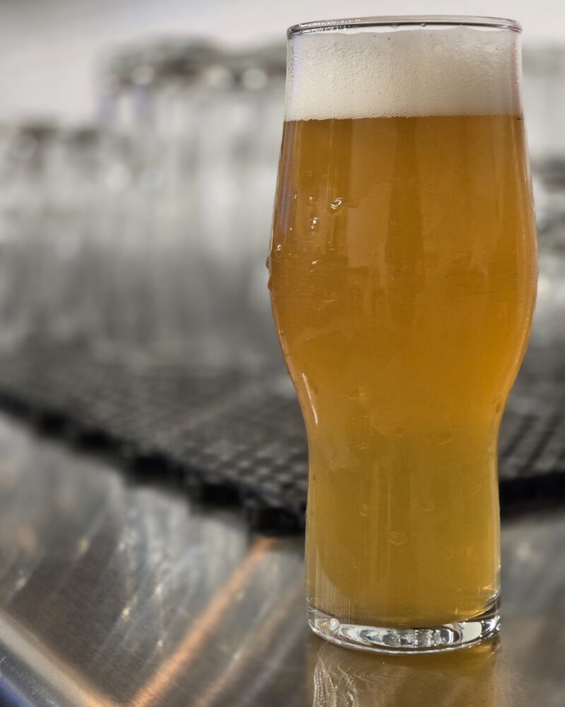 Pizzazz Redux – Juicy IPA