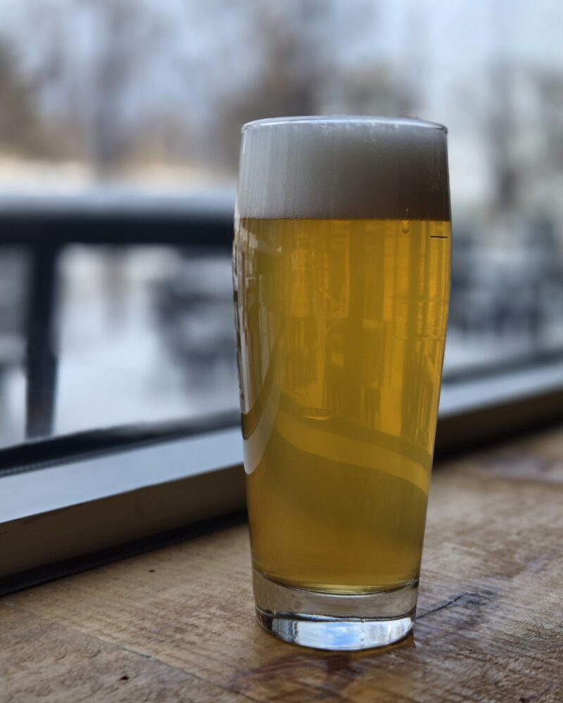 Blueberry Blonde – Fruited Blonde