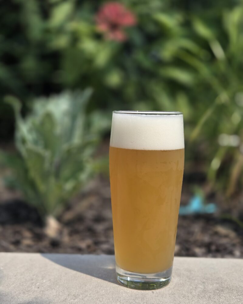 Leisurely Lemon – Shandy