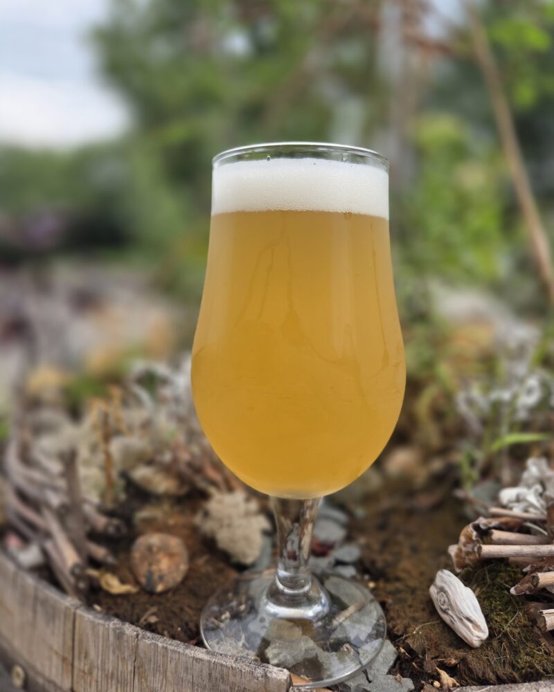 Pineapple Passionfruit – Sour
